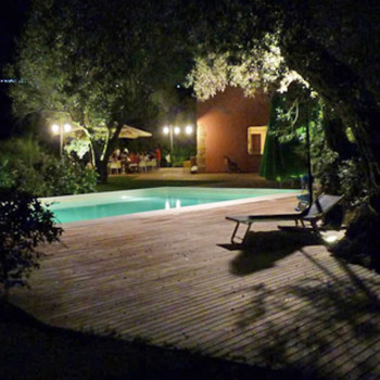 Agricontura by night