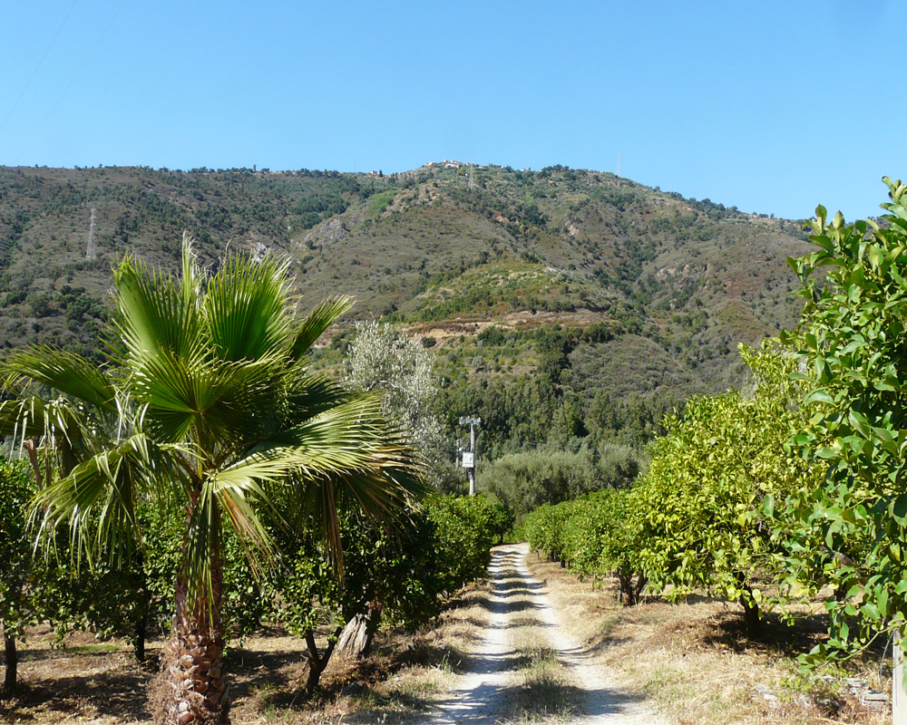 Jogging path